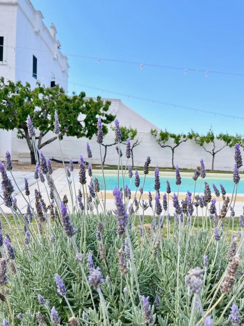 Masseria Mammella Монополі Екстер'єр фото