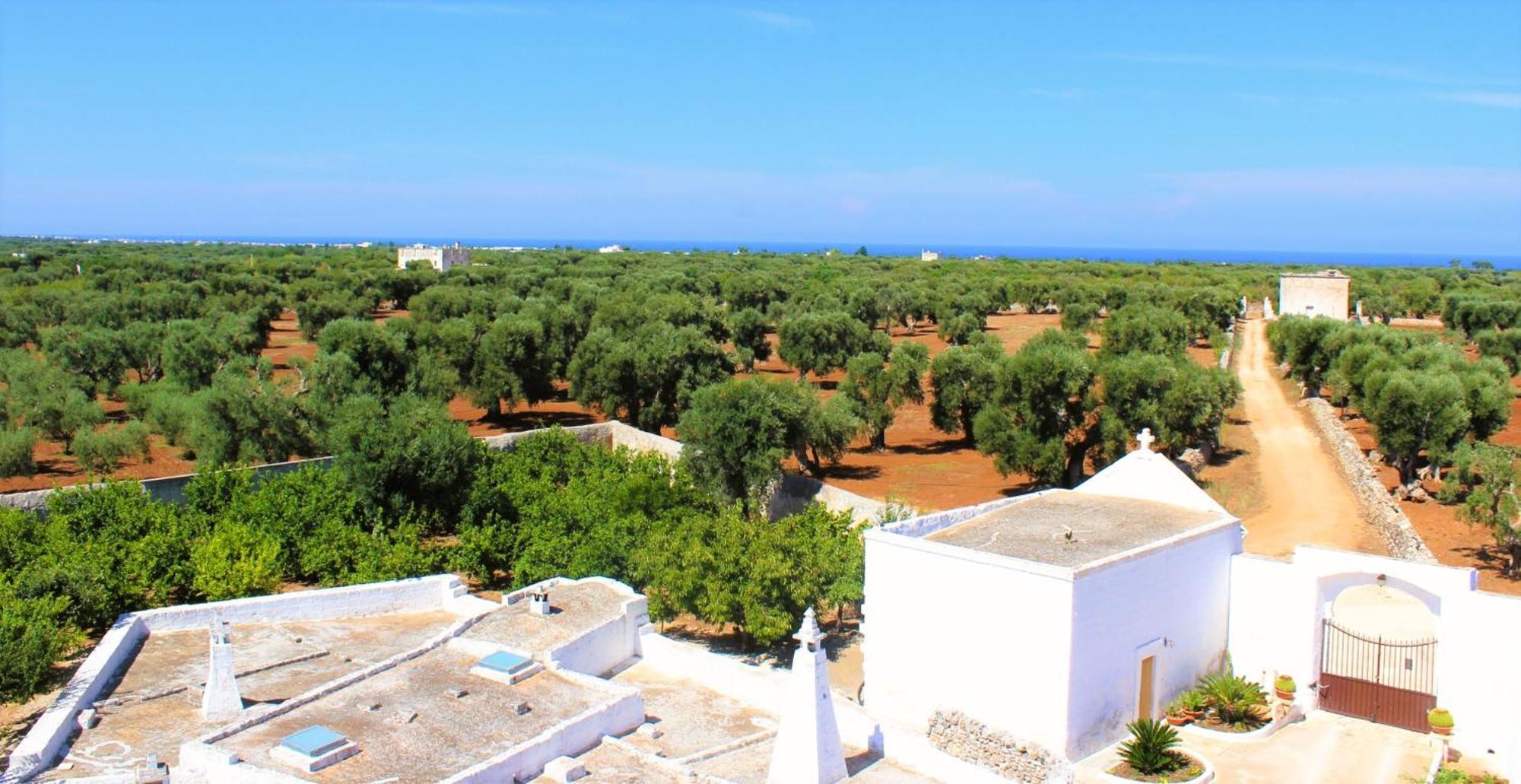 Masseria Mammella Монополі Екстер'єр фото